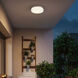 Sunspot LED 12 inch Brushed Stainless Steel Flush Mount Ceiling Light